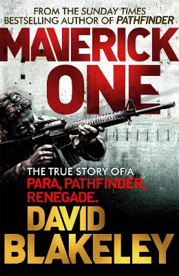 Book cover for Maverick One