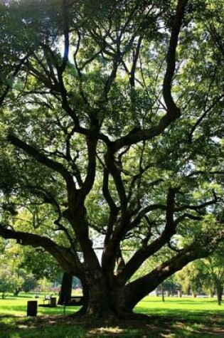 Cover of Solitary Oak Tree, for the Love of Nature