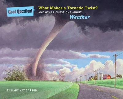 Book cover for What Makes a Tornado Twist?