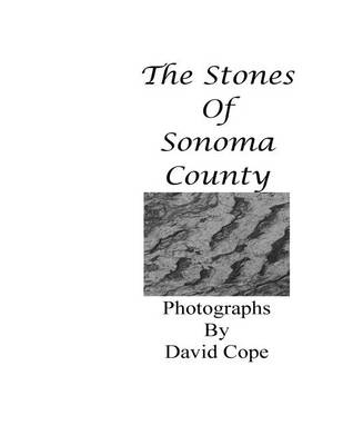 Book cover for The Stones of Sonoma County