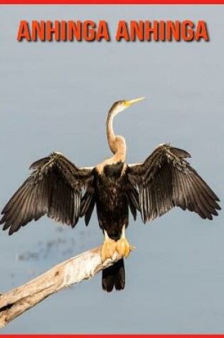 Cover of Anhinga anhinga