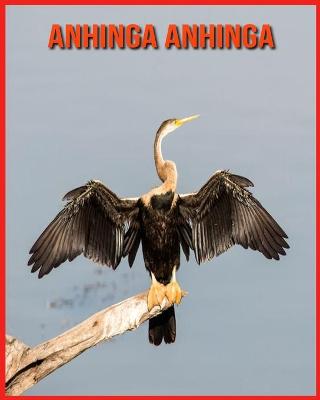 Book cover for Anhinga anhinga