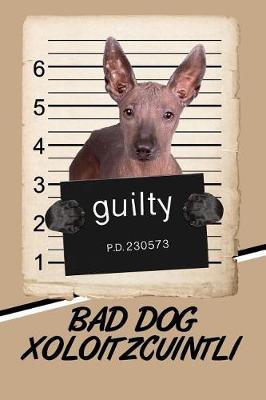 Book cover for Bad Dog Xoloitzcuintli