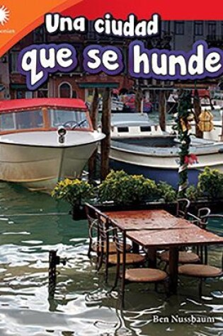 Cover of Una ciudad que se hunde