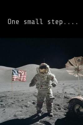 Book cover for One small step....