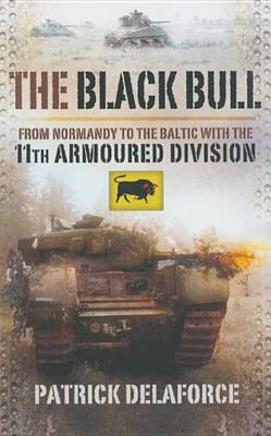 Book cover for The Black Bull