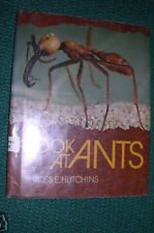 Cover of A Look at Ants