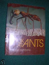 Book cover for A Look at Ants