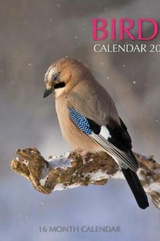 Cover of Birds Calendar 2016