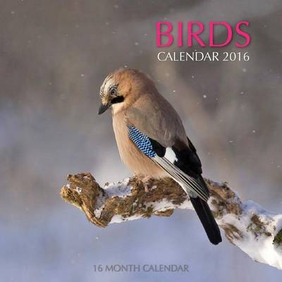 Book cover for Birds Calendar 2016