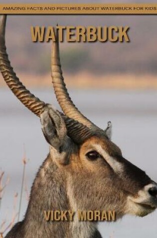 Cover of Waterbuck