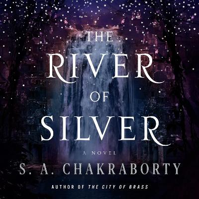 Cover of The River of Silver