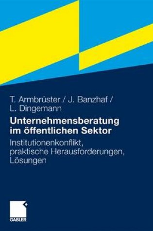 Cover of Unternehmensberatung Im Offentlichen Sektor