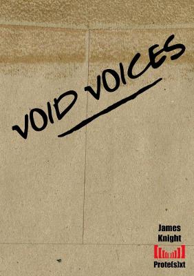 Book cover for Void Voices