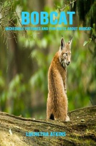 Cover of Bobcat