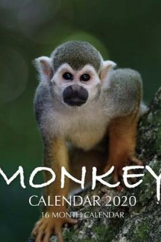 Cover of Monkey Calendar 2020