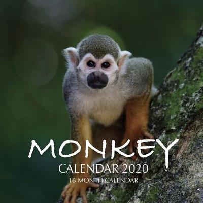 Book cover for Monkey Calendar 2020