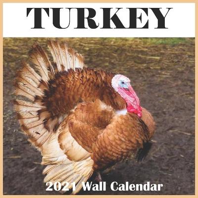 Book cover for Turkey 2021 wall Calendar