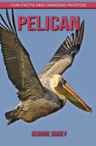 Cover of Pelican