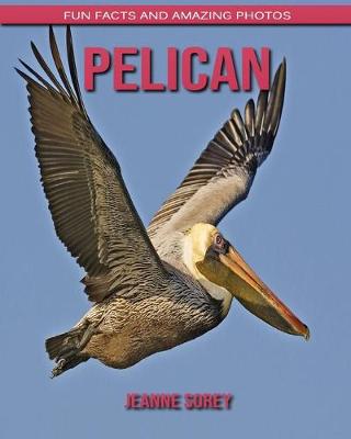 Book cover for Pelican