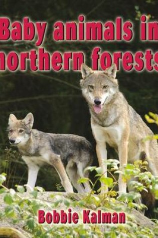 Cover of Baby Animals in Northern Forests
