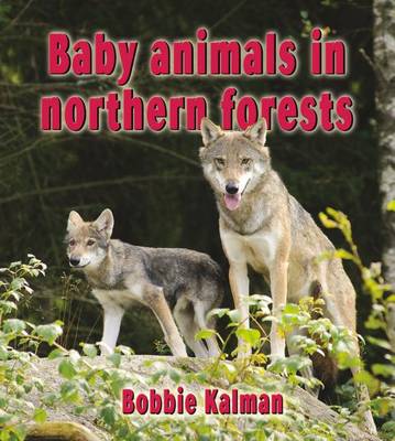 Book cover for Baby Animals in Northern Forests