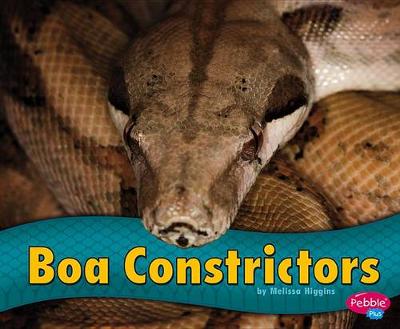 Cover of Boa Constrictors