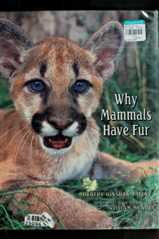 Cover of Why Mammals Have Fur
