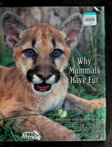 Book cover for Why Mammals Have Fur