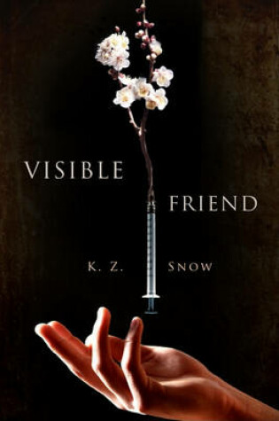 Cover of Visible Friend