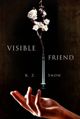 Book cover for Visible Friend