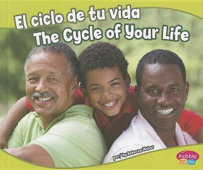 Book cover for El Ciclo de Tu Vida/The Cycle of Your Life