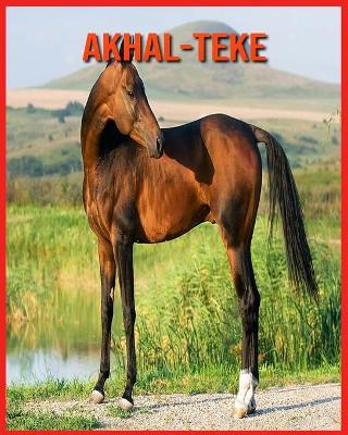 Book cover for Akhal-Teke