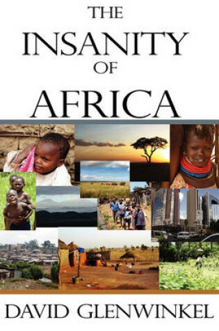 Cover of The Insanity of Africa