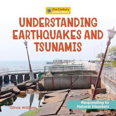 Book cover for Understanding Earthquakes and Tsunamis