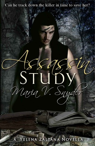 Assassin Study by Maria V Snyder