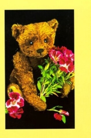 Cover of Teddy Bear Collector's Journal