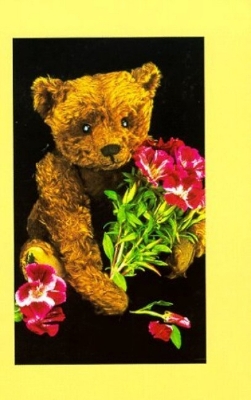 Book cover for Teddy Bear Collector's Journal