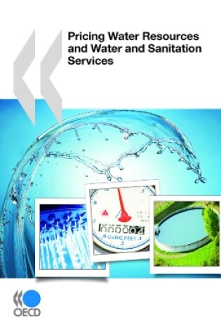 Cover of Pricing Water Resources and Water and Sanitation Services