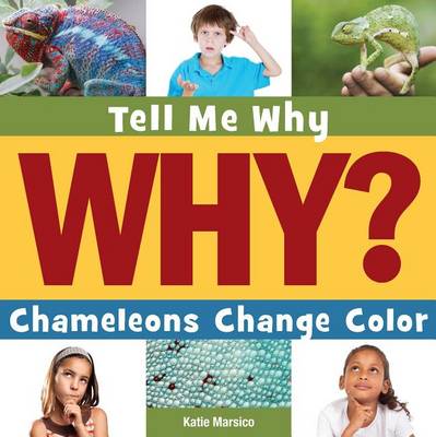 Book cover for Chameleons Change Color