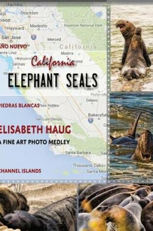 Cover of California Elephant Seals