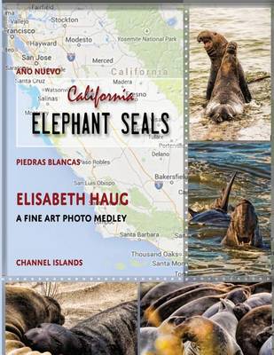 Cover of California Elephant Seals