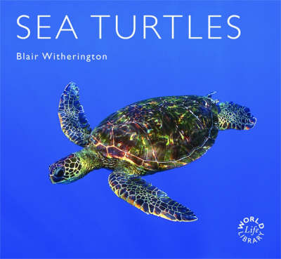 Cover of Sea Turtles