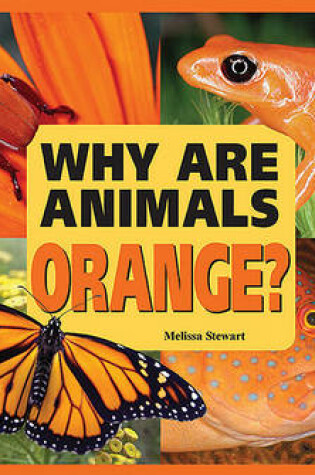 Cover of Why are Animals Orange?