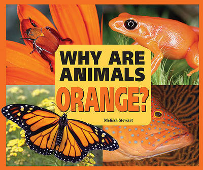 Cover of Why are Animals Orange?