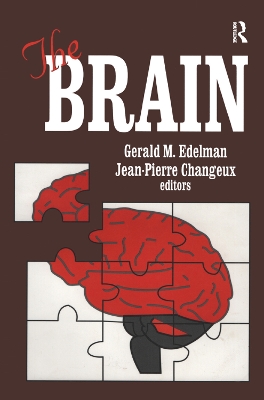 Book cover for The Brain