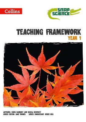 Book cover for Teaching Framework Year 1