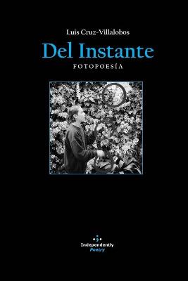 Book cover for Del Instante