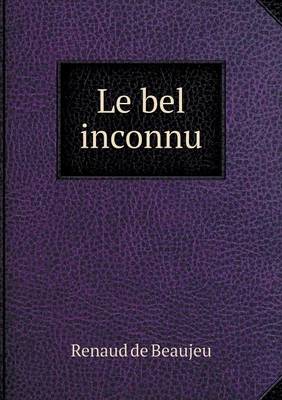 Book cover for Le bel inconnu