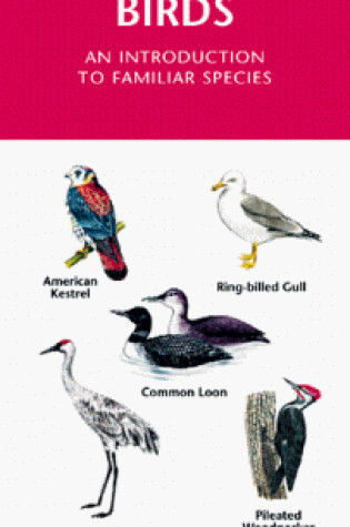 Cover of Great Lakes Birds